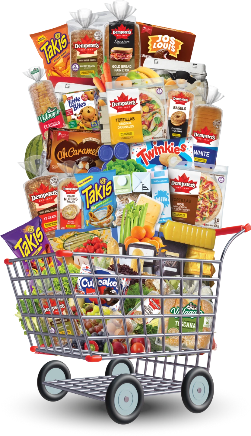 grocery cart overflowing with groceries